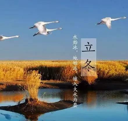 微信图片_20191111170221.jpg